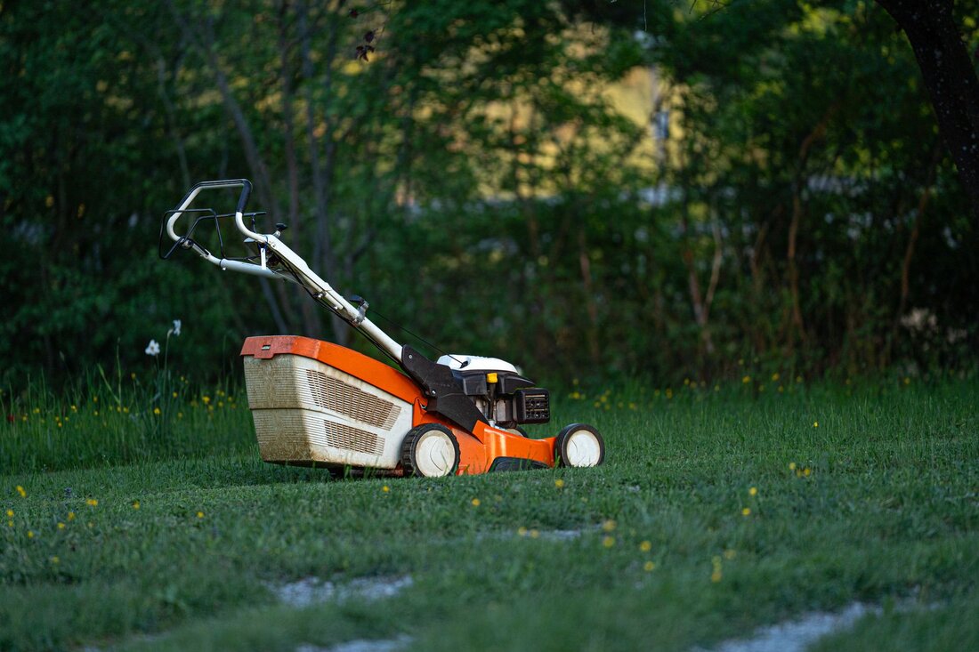 Hedges being trimmed clean and even