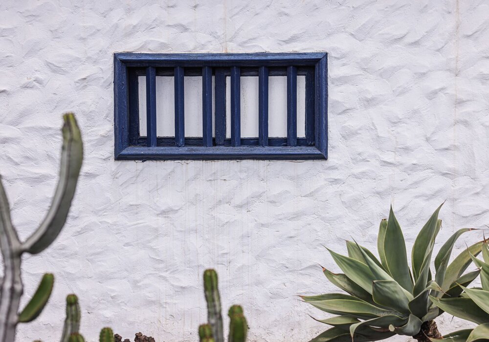 Low-water desert xeriscape landscaping with agave and cacti